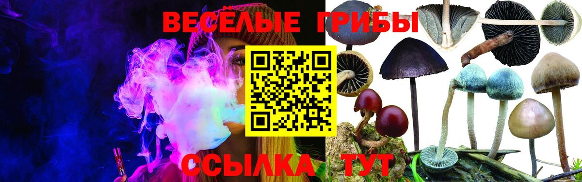 Псилоцибиновые грибы Magic Shrooms  Джанкой 